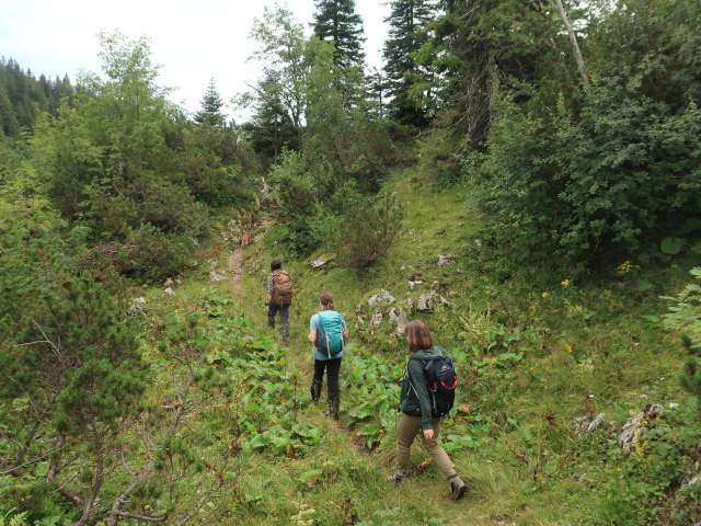 Manuel, Sabine und Hannelore zwischen Tonion und Hochschnäbeltörl
