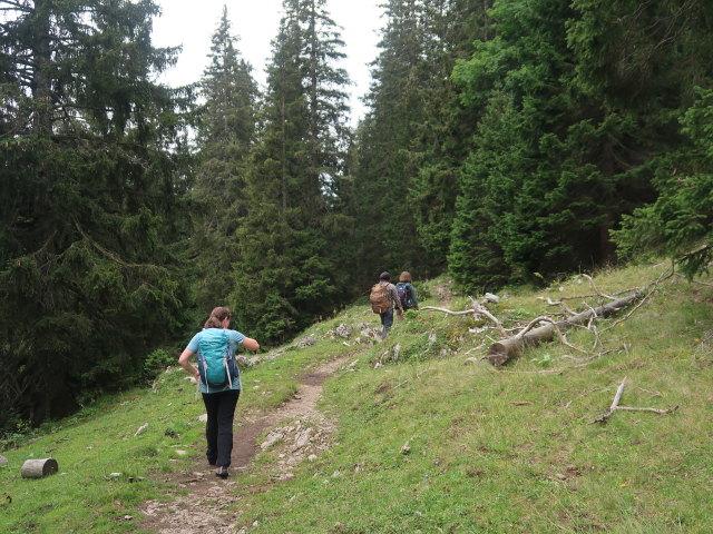 Sabine, Manuel und Hannelore zwischen Herrenboden und Ochsenboden