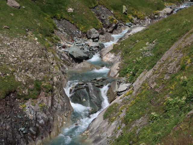 Ködnitzbach (12. Aug.)