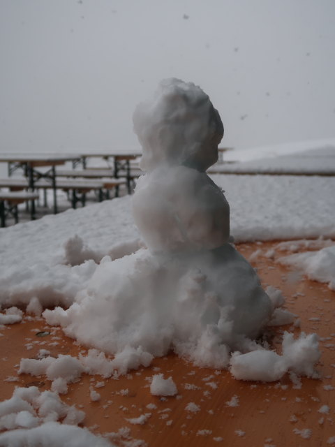 Stüdlhütte, 2.802 m (12. Aug.)