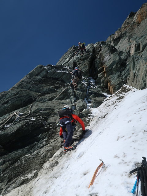 Glocknerleitl (13. Aug.)