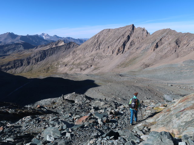 Romana zwischen Hohenwartkees und Alter Salmhütte (14. Aug.)