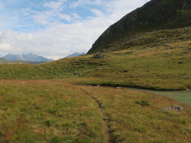 beim Vorderen Langtalsee, 2.310 m (15. Aug.)