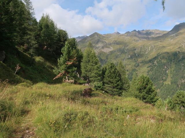 zwischen Vorderem Langtalsee und Hochkasern (15. Aug.)