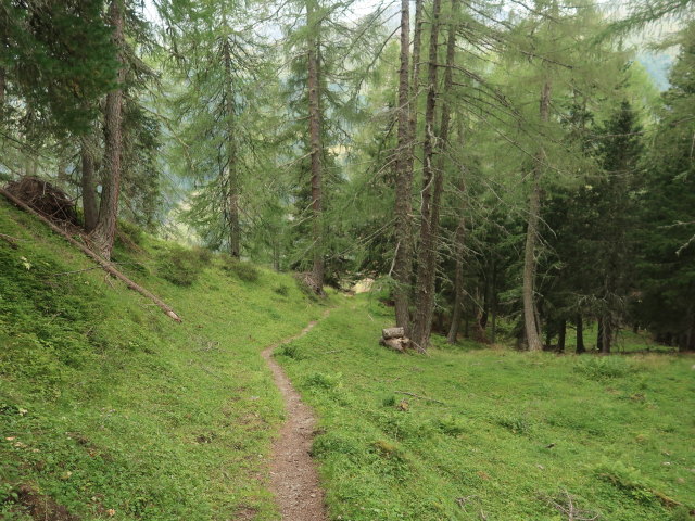 zwischen Hochkasern und Wirtsbaueralm (15. Aug.)