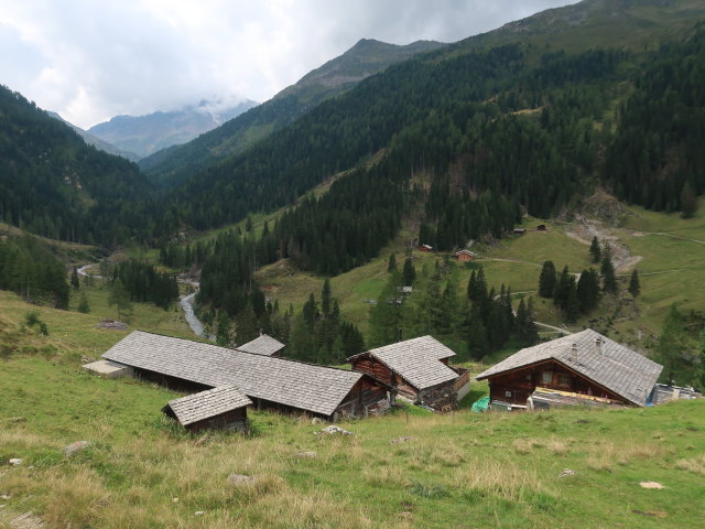 Wirtsbaueralm, 1.730 m (15. Aug.)
