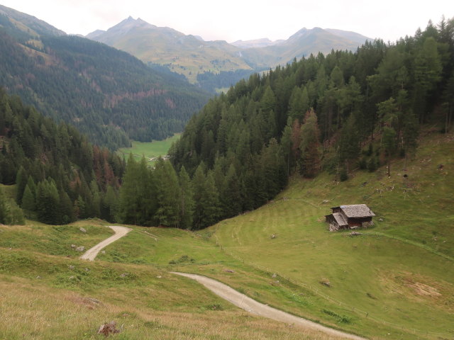 zwischen Breimiskaser und Gössnitzfall (15. Aug.)