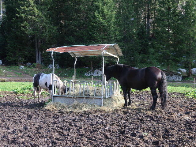 Baita Winkel, 1.470 m