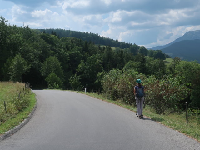 Sabine zwischen Grünsting und Mayerhöfen