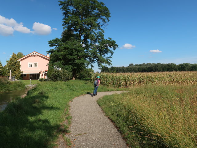 Sabine zwischen Jettsdorf und Grafenwörth