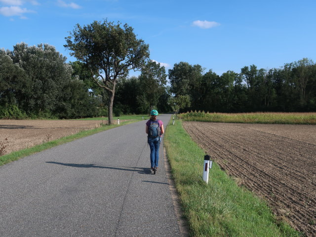 Sabine zwischen Kollersdorf Altenwörth