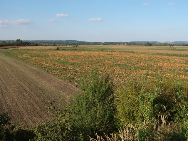 bei Frauendorf an der Au