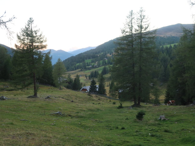 Lau&szlig;nitzalmwiesen (2. Sep.)