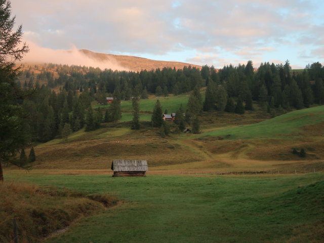 Laußnitzalmwiesen (3. Sep.)