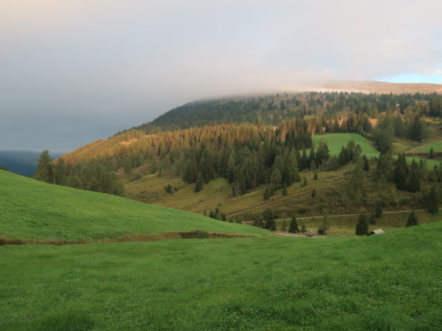 Laußnitzalmwiesen (3. Sep.)