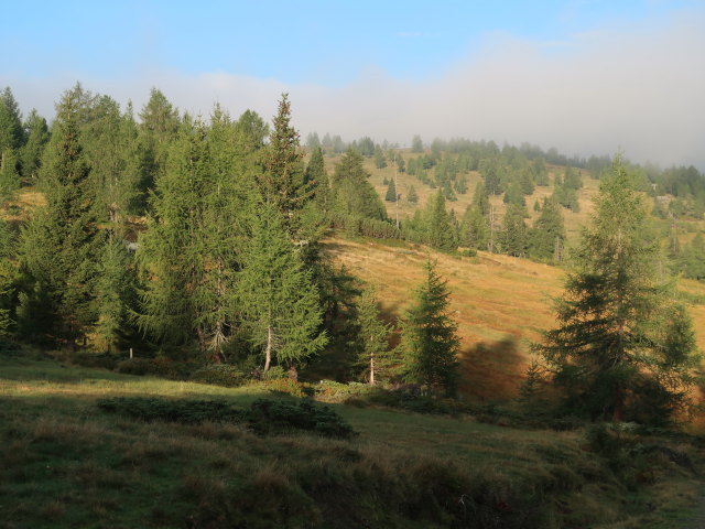 zwischen Bonner H&uuml;tte und Atzensberger Alm (3. Sep.)