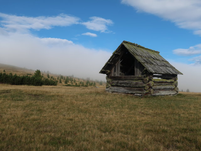 Atzensberger Alm (3. Sep.)