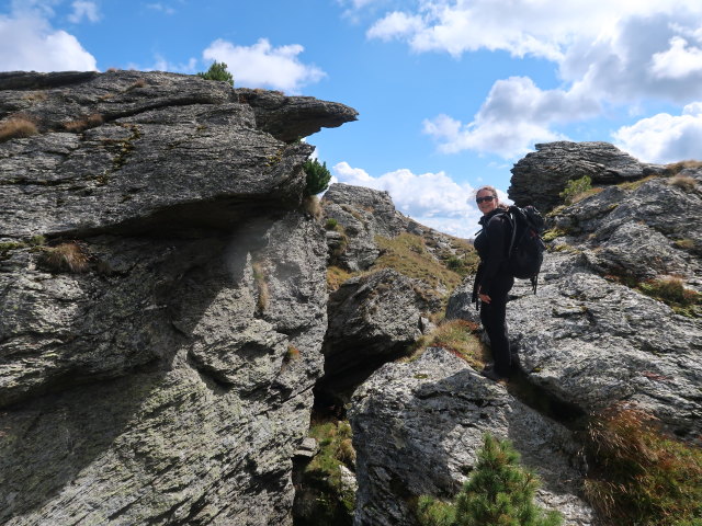 Sabine zwischen Kleinem K&ouml;nigstuhl und Feldernock (4. Sep.)