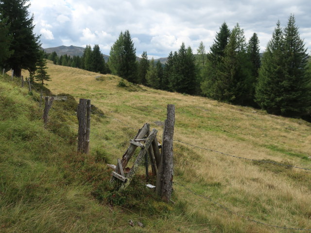 zwischen Windriegel und Gsto&szlig;lacke (4. Sep.)