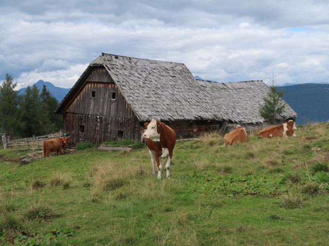 Mühlhauserhütte (4. Sep.)