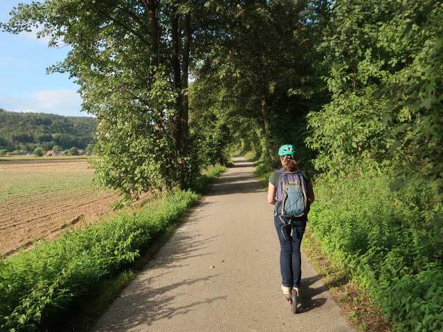 Sabine zwischen Gleißenfeld und Seebenstein