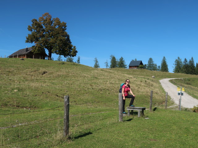 Sabine auf der Zinkeneckalm, 1.162 m