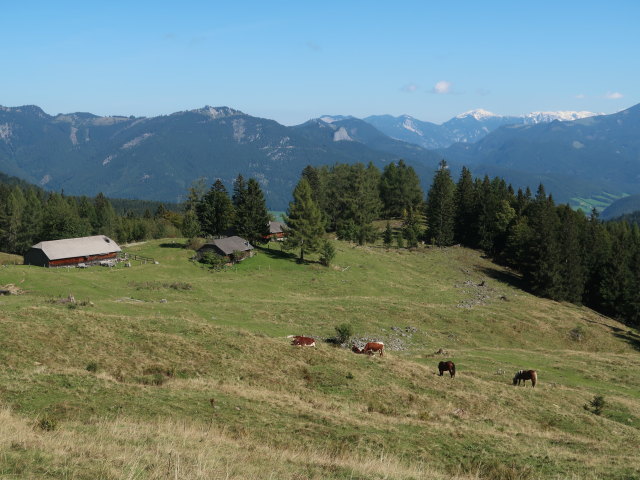 Zinkeneckalm, 1.162 m