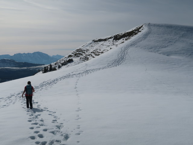 Sabine zwischen Osterhorn und Hohem Zinken