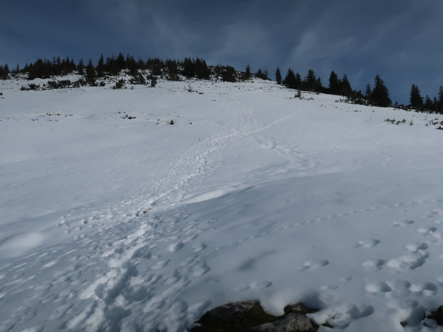 zwischen Hohem Zinken und Genneralm