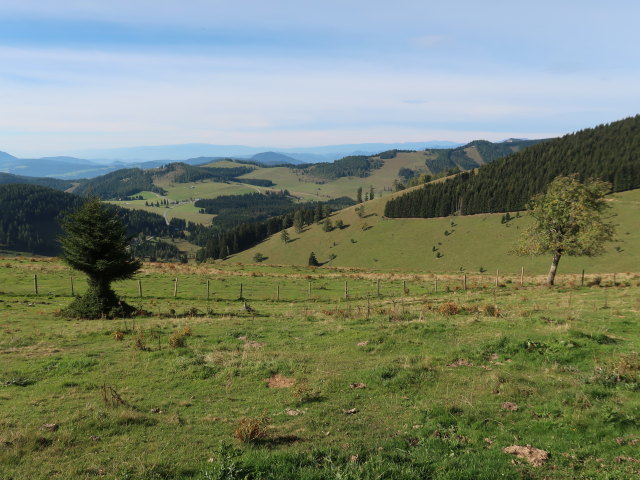 zwischen Grubbauerkogel und Nestlbodnerkogel