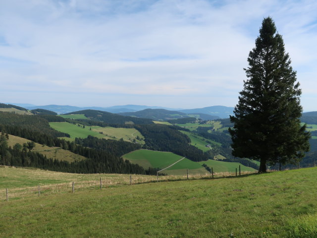 von der Sommeralm Richtung Osten