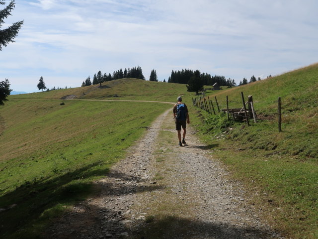 Frank zwischen Sommeralm und Siebenk&ouml;gel