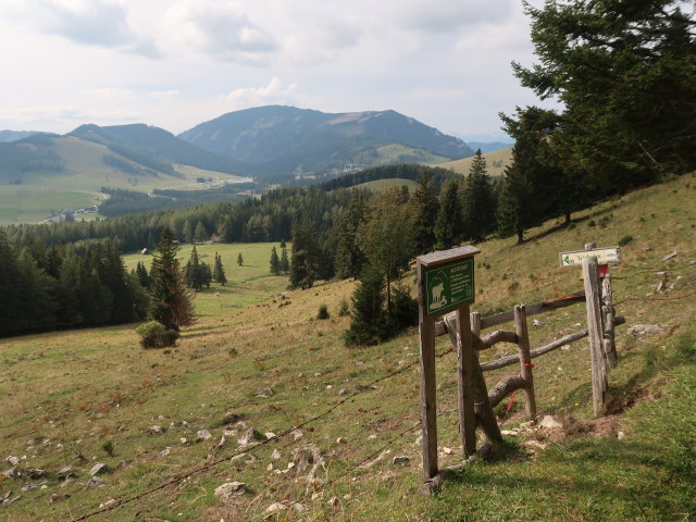 zwischen Osser und Angerwirt