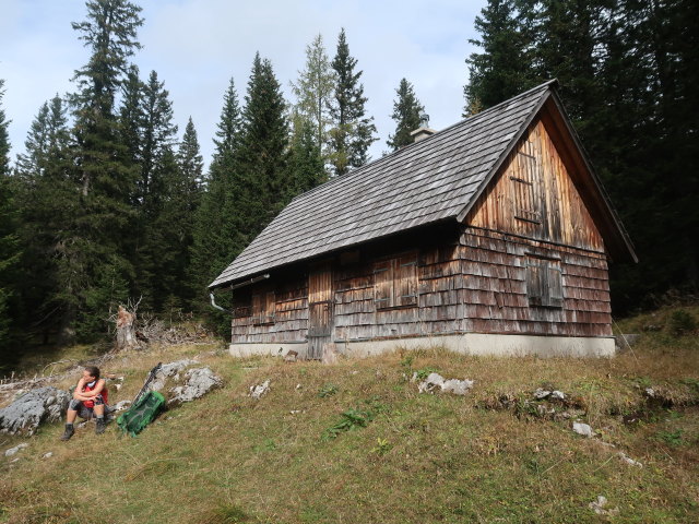 Ursa auf der Riegerinalm, 1.522 m
