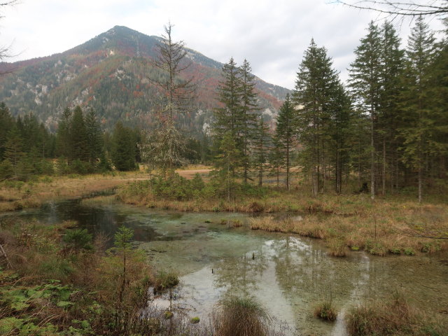 Brunnsee, 625 m