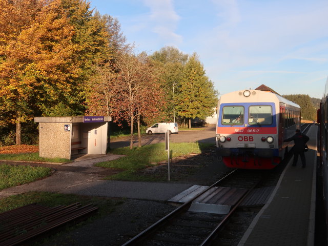 Bahnhof Neuhaus-Niederwaldkirchen, 556 m