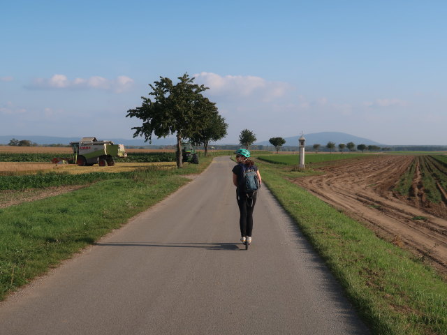 Sabine zwischen Oberweiden und Marchegg