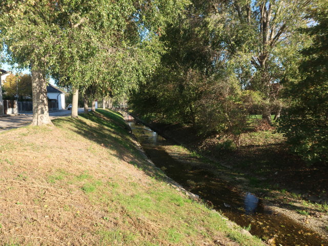 Warme Fischa in Wiener Neustadt