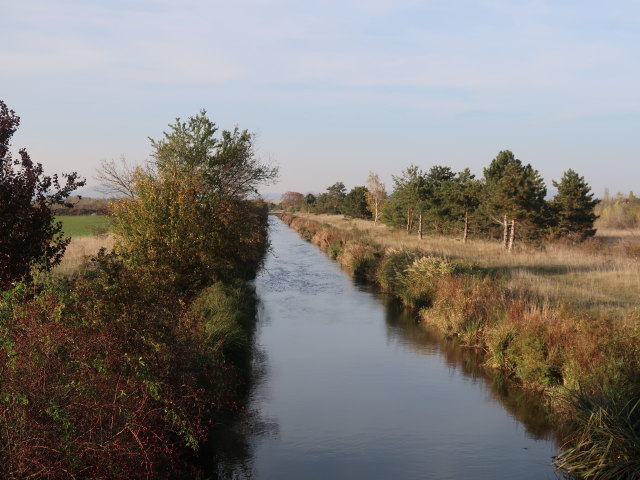 Wiener Neust&auml;dter Kanal bei Felixdorf