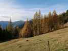 zwischen Loosbichlalm und Weißalm