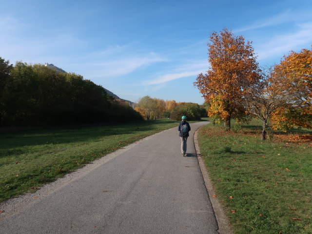 Sabine auf der Donauinsel