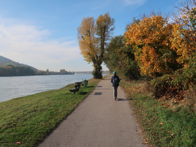 Sabine zwischen Korneuburg und Kraftwerk Greifenstein