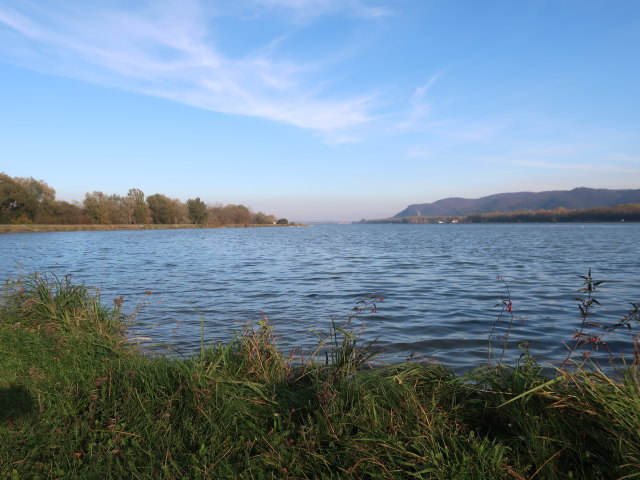 zwischen Kraftwerk Greifenstein und Ausiedlung