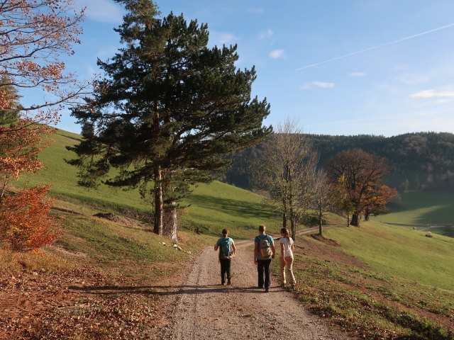 Sabine, Thomas und Kathrin zwischen Hausstein und Grünbacher Sattel