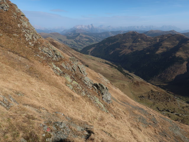 zwischen Schlaberstatt und Gei&szlig;stein (29. Okt.)