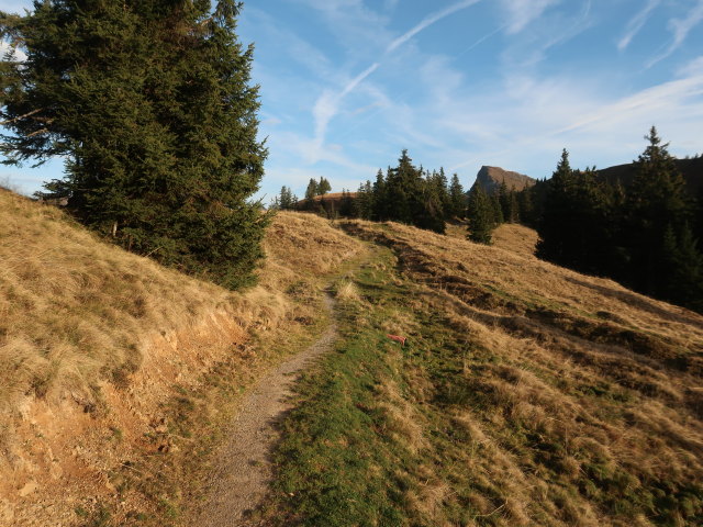 Gaisbergsattel, 1.683 m (30. Okt.)