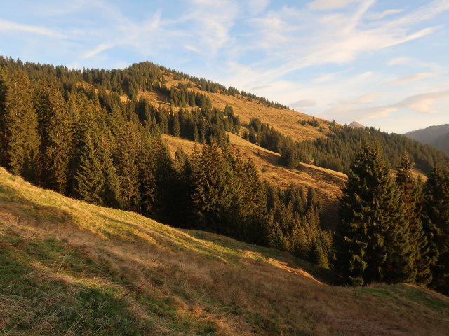 zwischen Brunner-Hochalm und Brunner-Niederalm (30. Okt.)