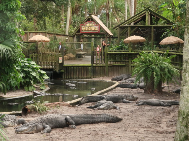 St. Augustine Alligator Farm Zoological Park (6. Nov.)