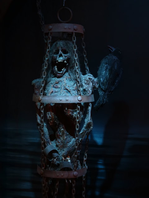 St. Augustine Pirate & Treasure Museum (6. Nov.)