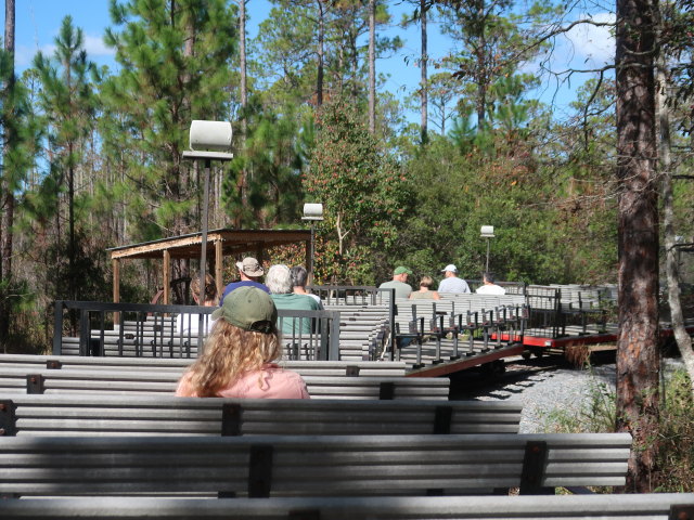 Okefenokee Swamp Park (7. Nov.)